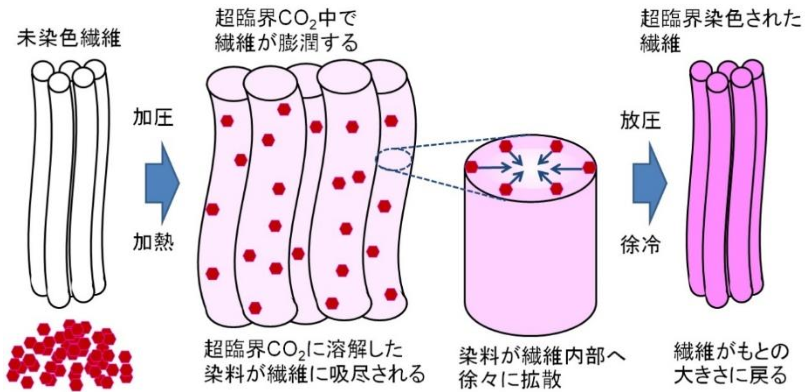 超高压染色